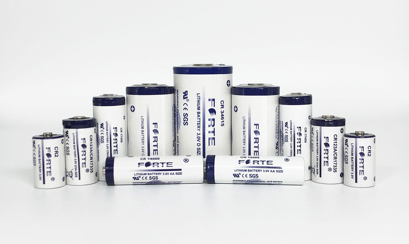 Li-MnO2 Batteries