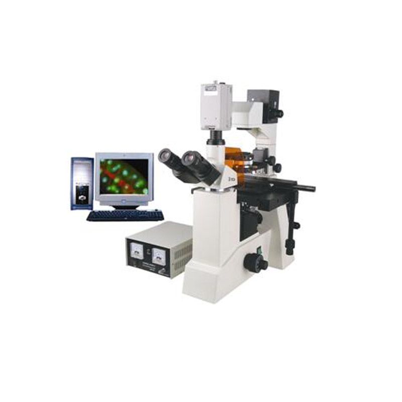 倒置改性瀝青專用熒光檢測顯微鏡BSM-800系列