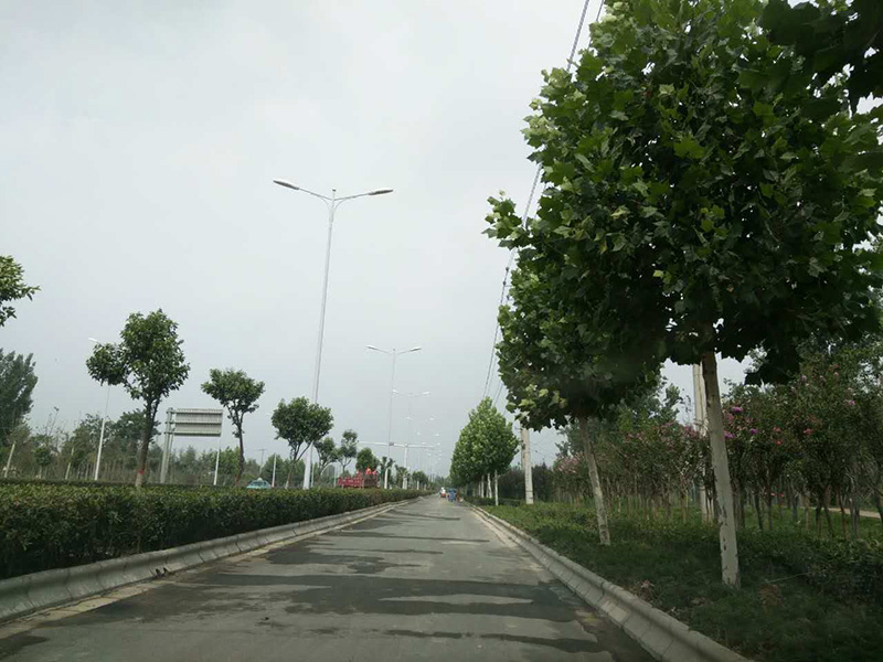 蘭考縣西入口(G220國道蘭考段)道路綠化工程