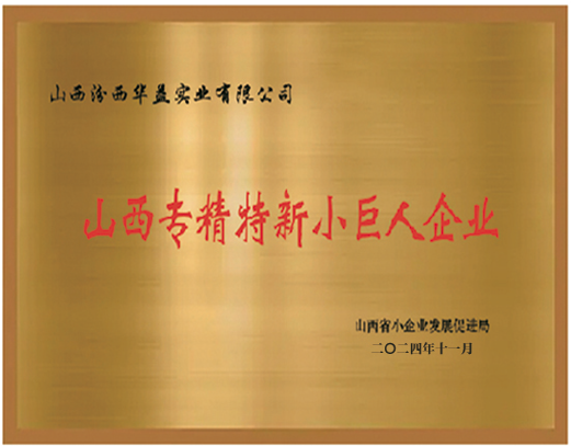 專精特新小巨人企業(yè)