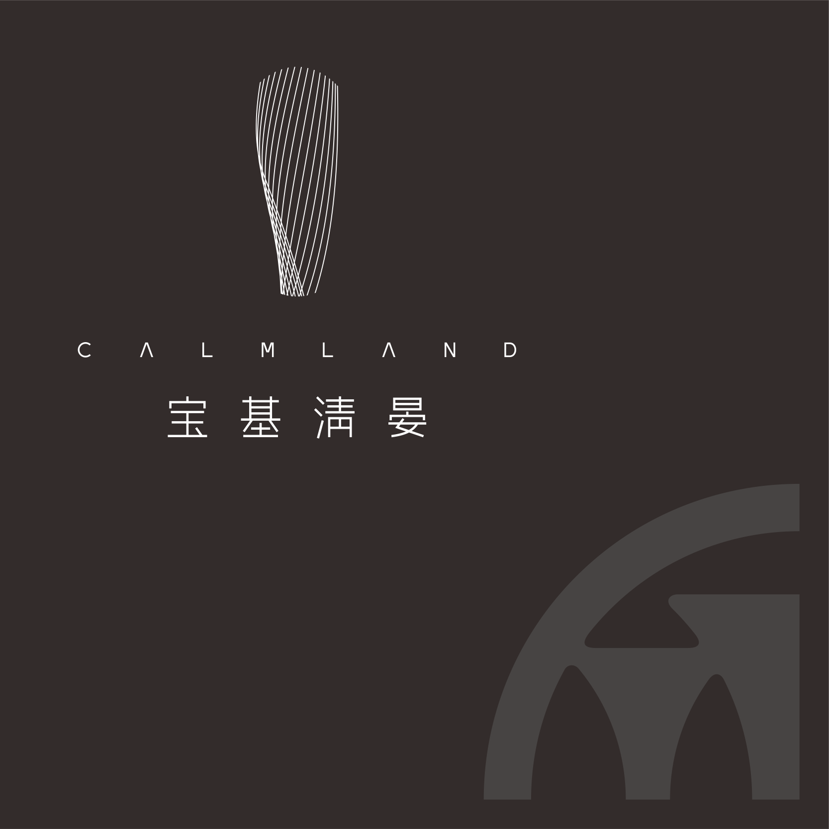 分子公司