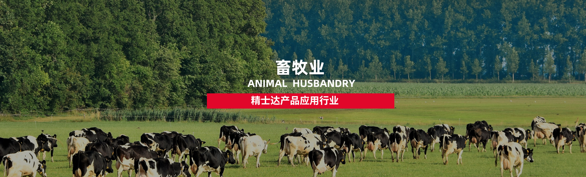精士達產品應用行業-畜牧業