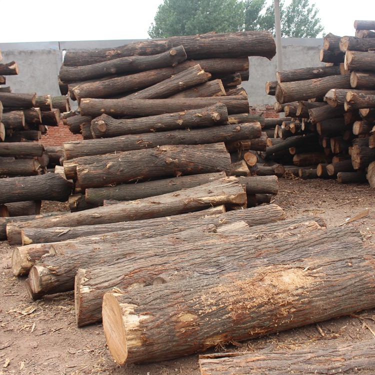 新木材法對我國木家具的影響