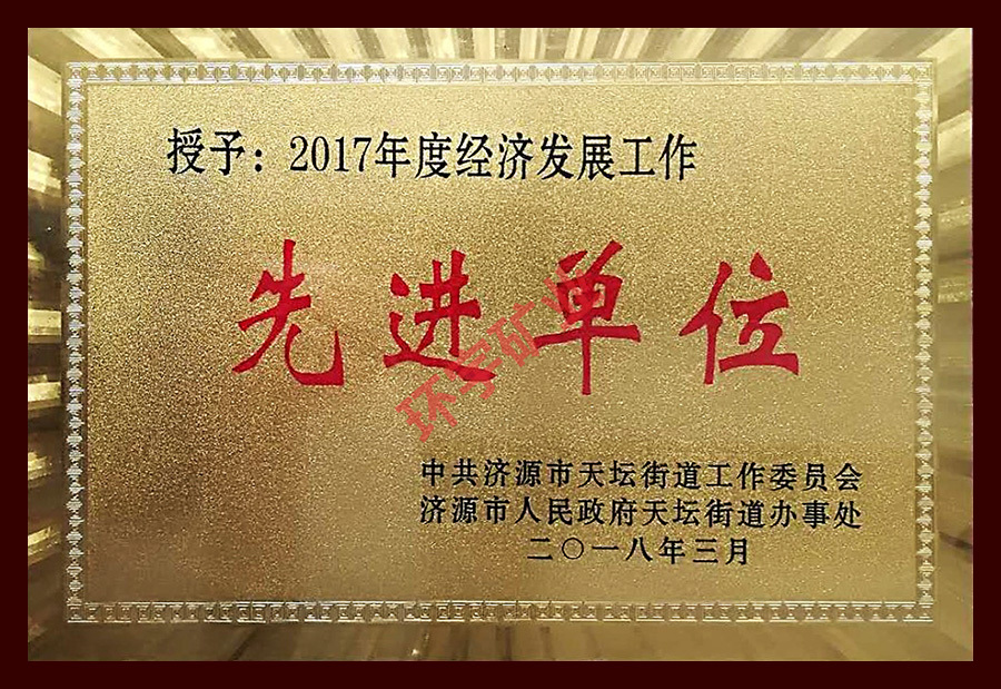 2017年度經濟發展工作先進單位