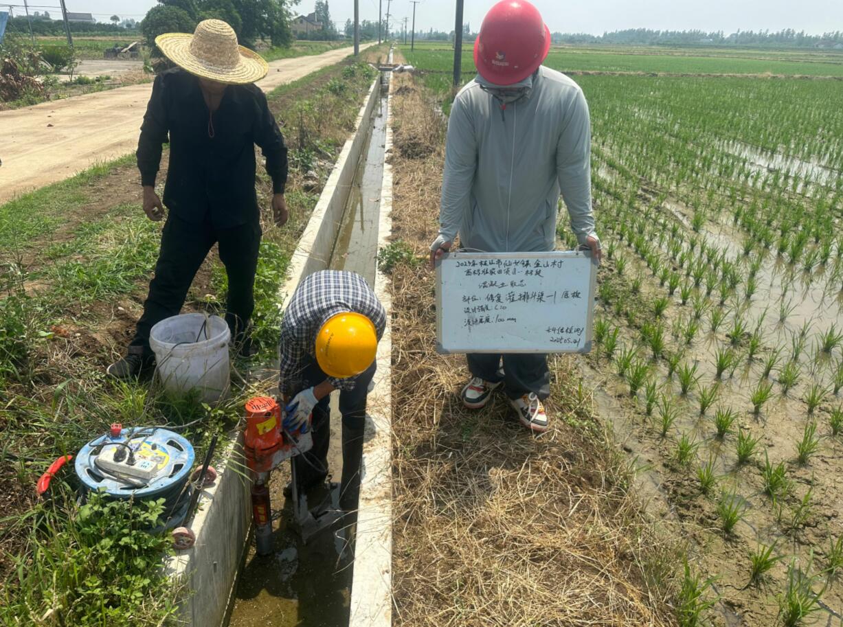 2023年枝江市高標(biāo)準(zhǔn)農(nóng)田項目