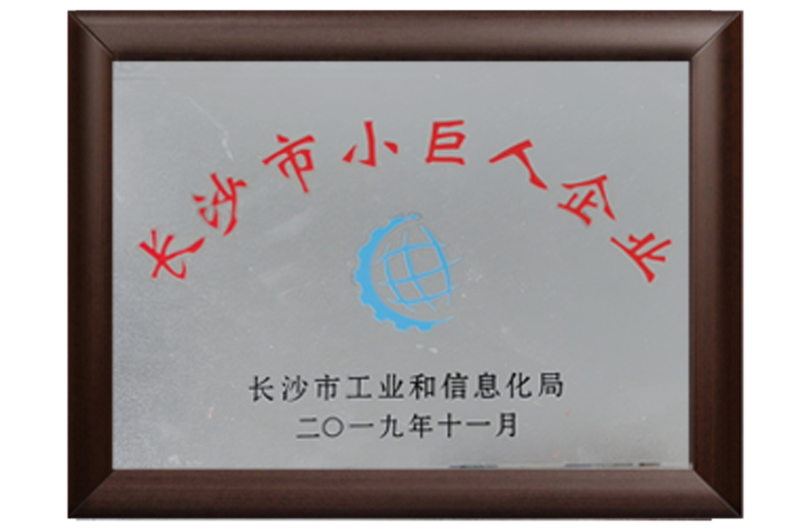 2019年長沙市小巨人企業