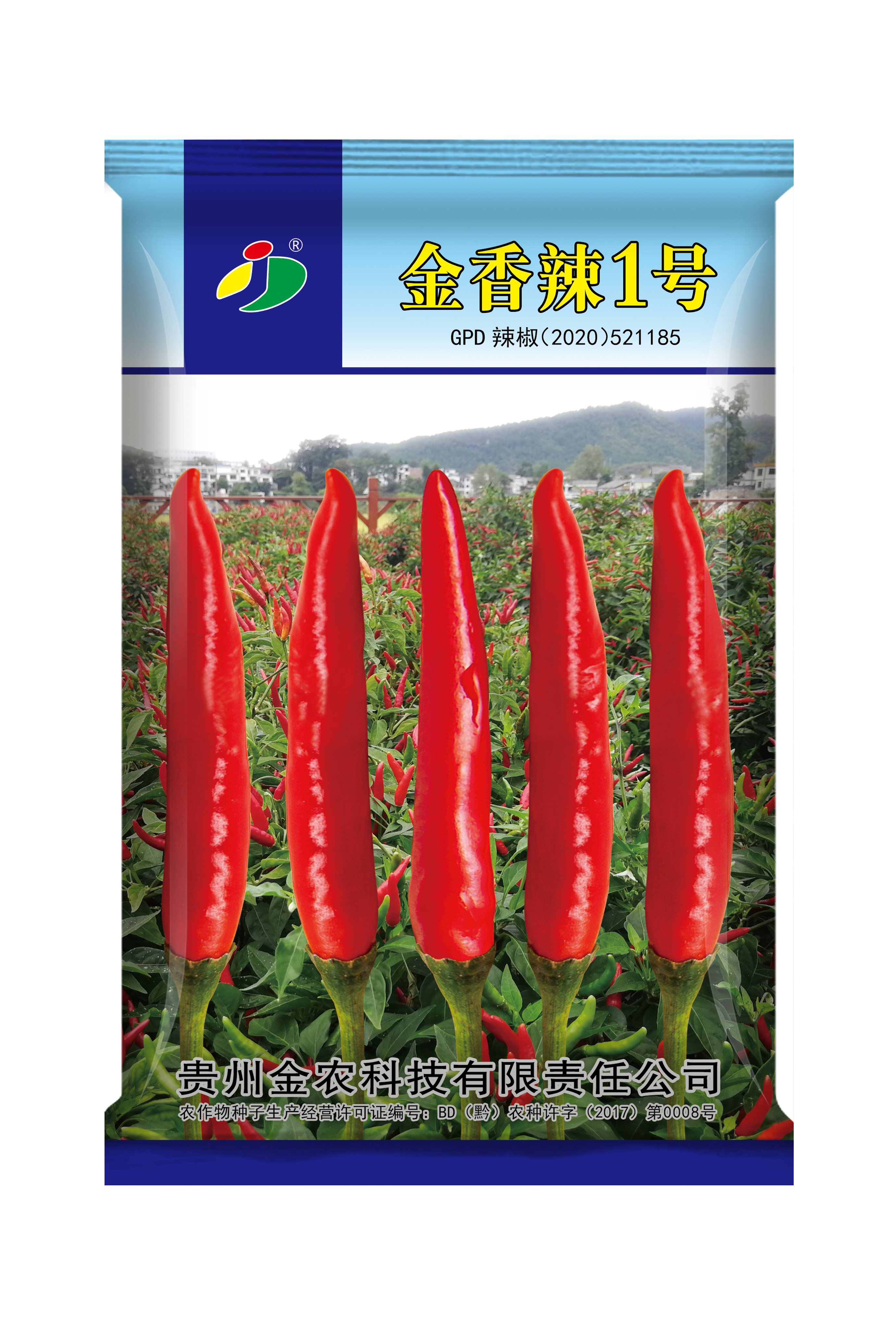辣椒1-1