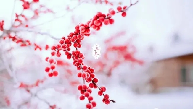 立冬將至 | 心有暖意,凜冬亦暖 立冬將至 | 心有暖意,凜冬亦暖