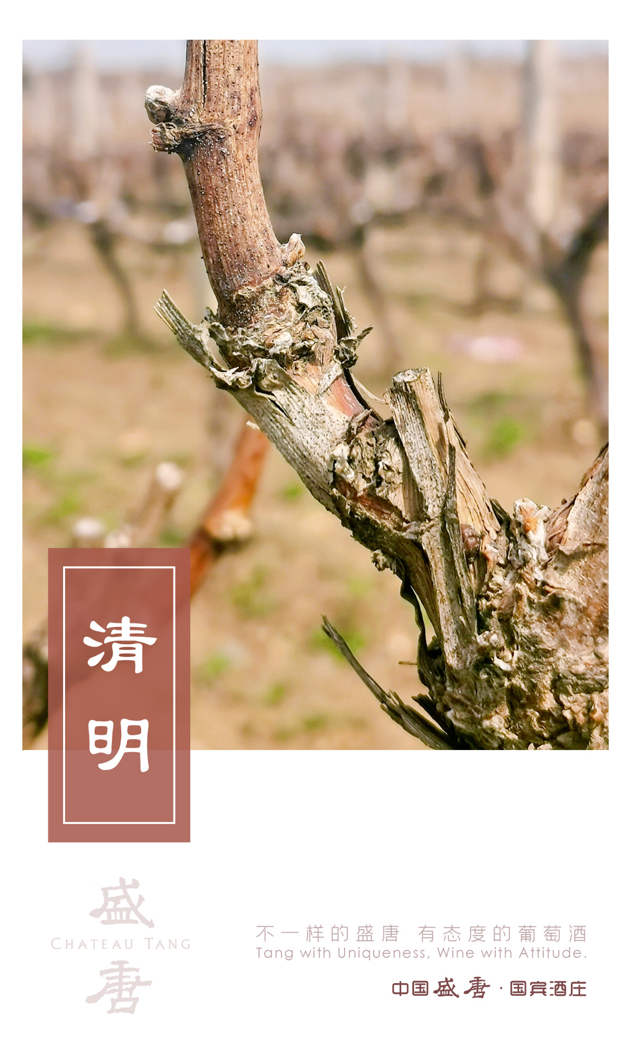 盛唐二十四節(jié)氣 | 清明