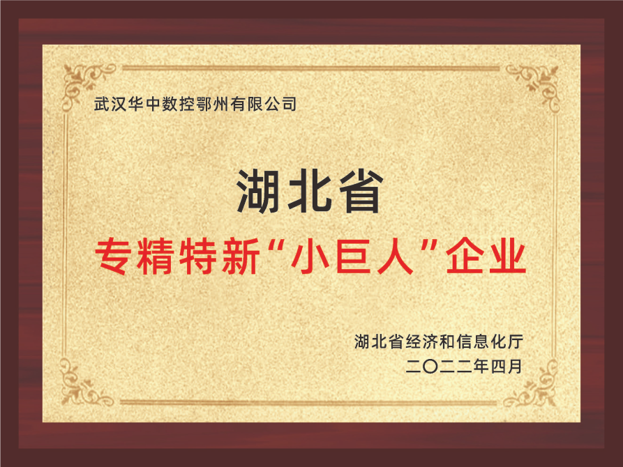 湖北省專(zhuān)精特新“小巨人”企業(yè)