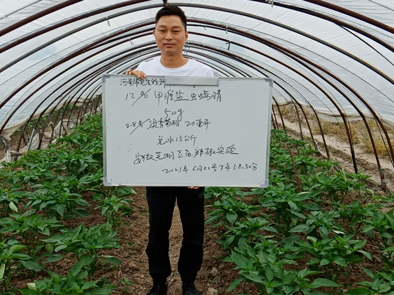 力挺農業，蟲口奪糧，用心專注，為作物保駕護航，確保農業豐收