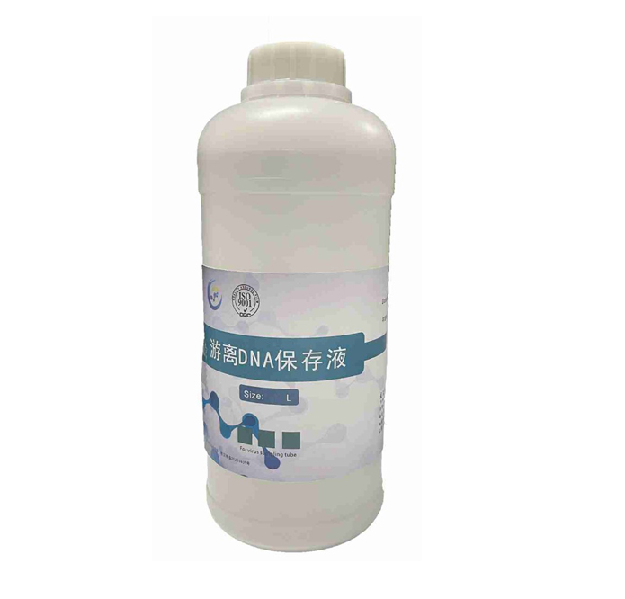 游离DNA保存液(SS04-28)