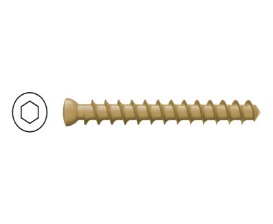 直徑 6.5mm 松質骨螺釘 ( 全牙 )