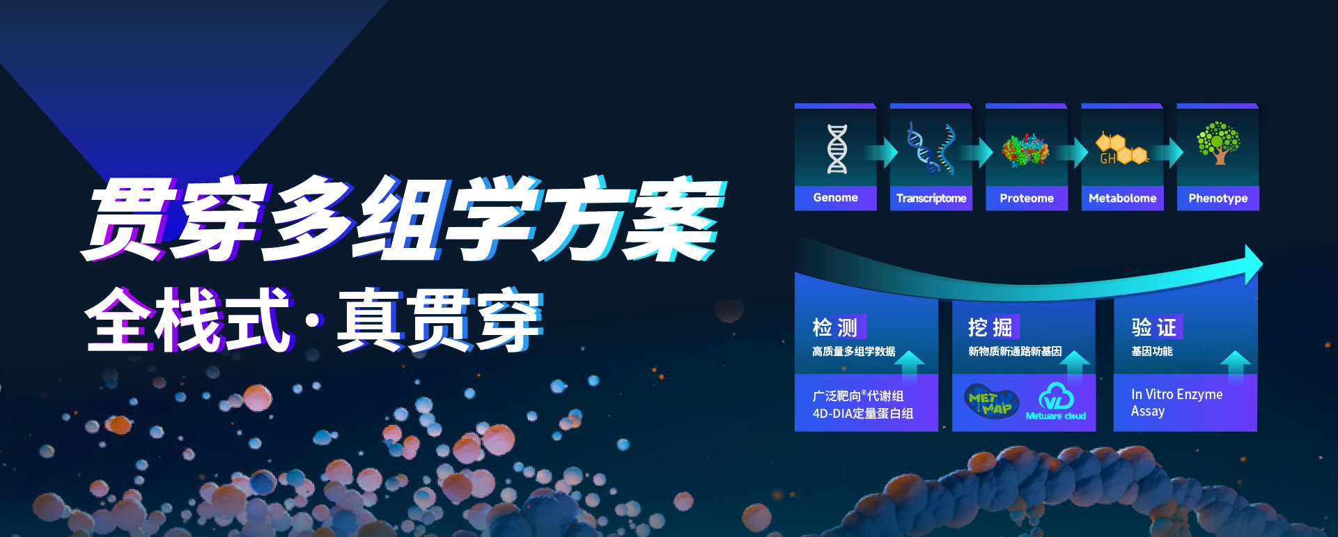 贯穿式多组学方案 贯穿式多组学方案