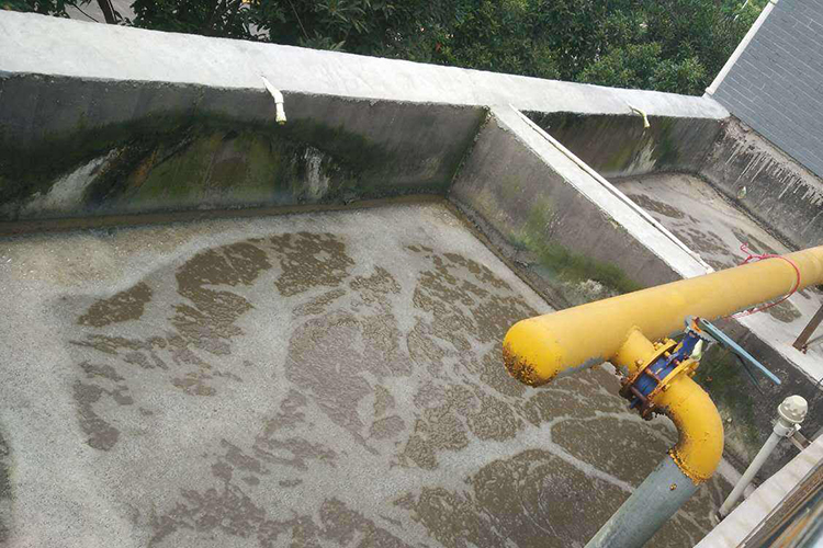【食品廠廢水】疊螺式污泥脫水機在食品廠廢水污泥處理中的應用