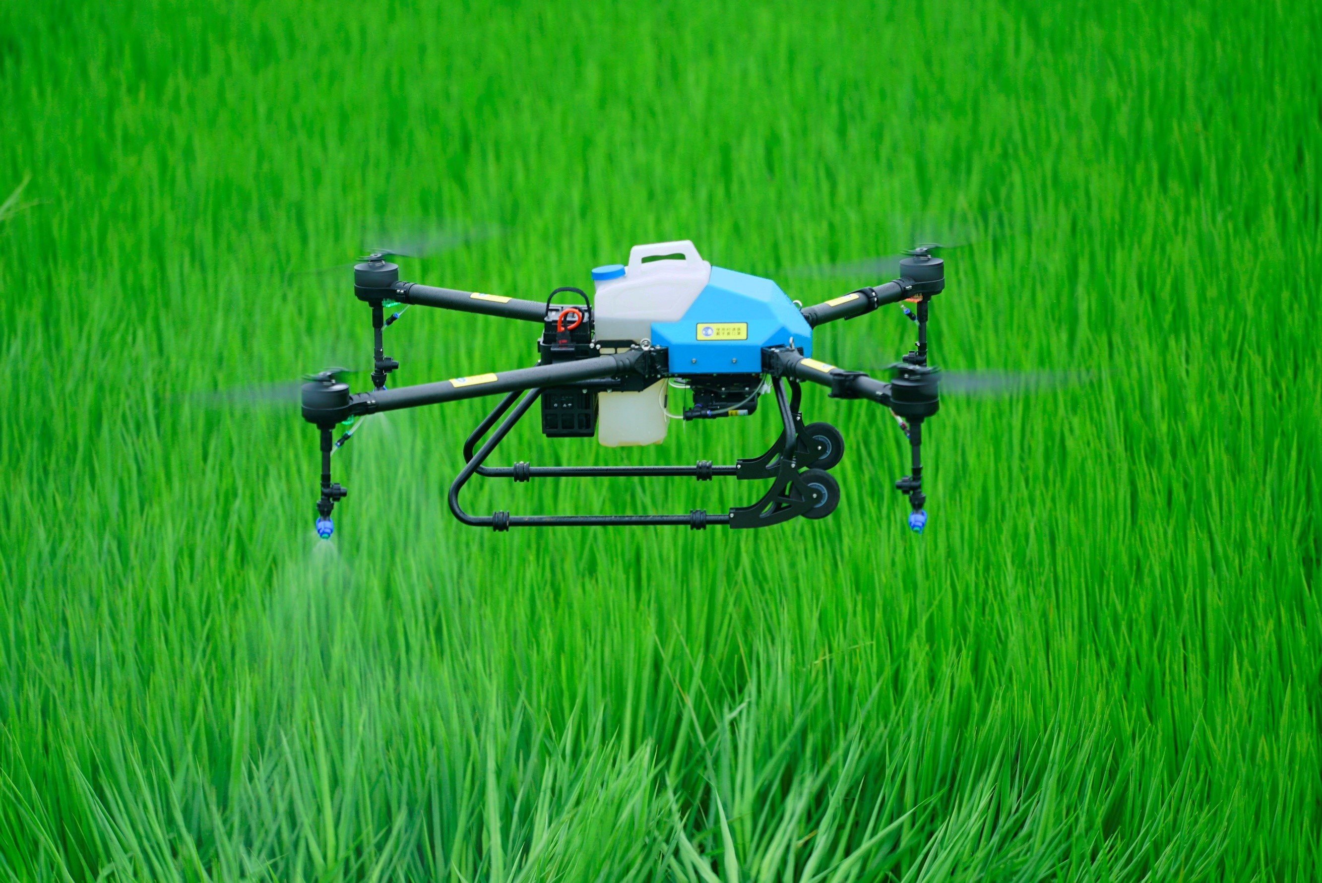 2021年水稻重大病蟲害防控技術方案