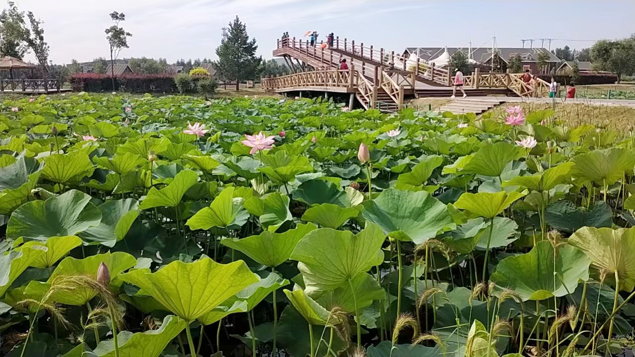 相約長嶺湖 全科與您共繪健康之美