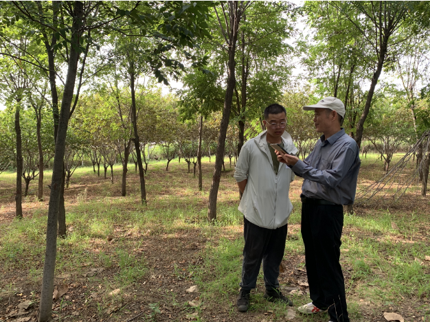 郑州市林业局李处与新郑市林业局领导莅临新郑市二类调查项目现场进行指导工作