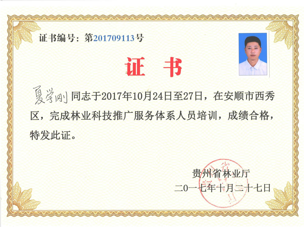 資質榮譽