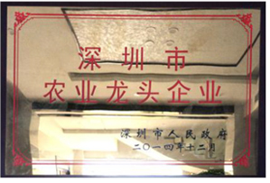 榮譽資質