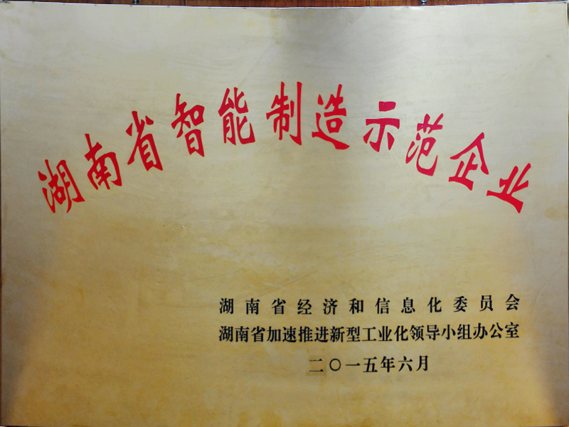 湖南省智能制造示范企業
