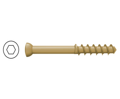 直徑 6.5mm 松質骨螺釘 ( 半牙 )
