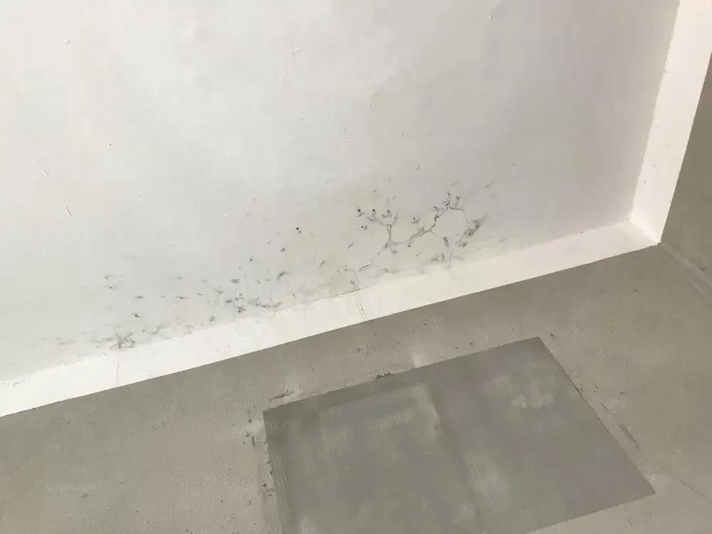 外墻外保溫這么好,不能只有我知道! 外墻外保溫這么好,不能只有我知道!