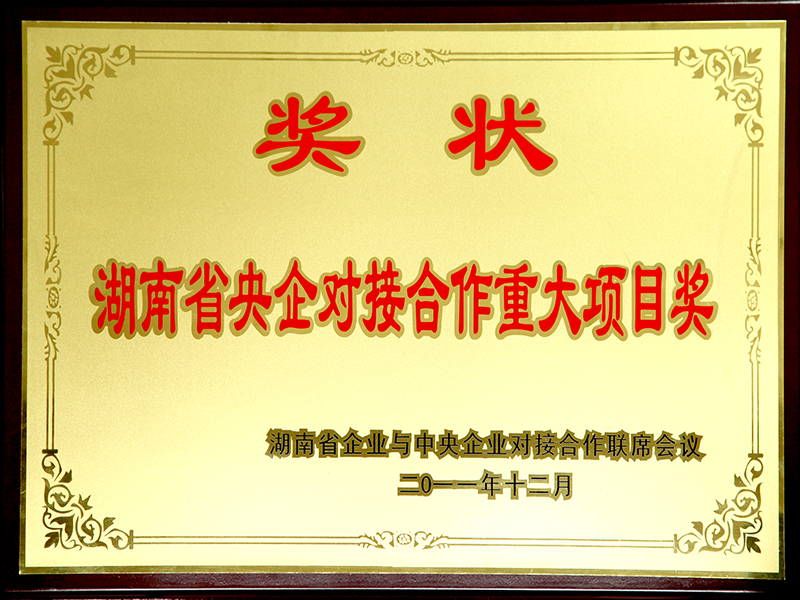 央企對接合作重大項目獎