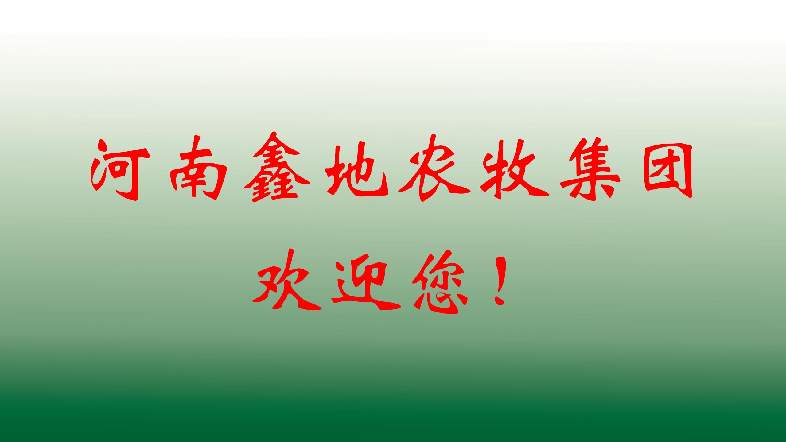 J9官网集團安全生產
