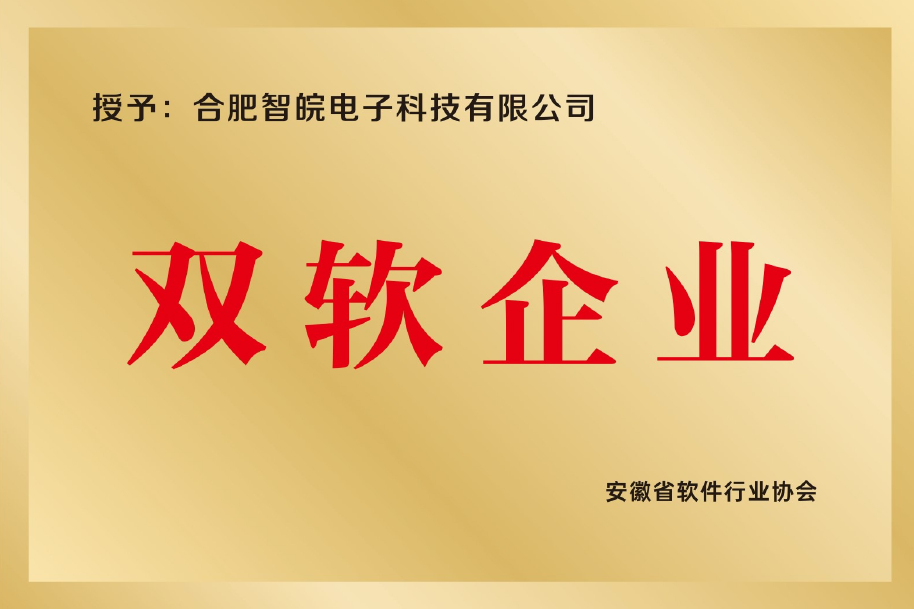 雙軟企業(yè)