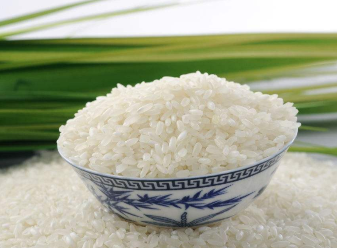 稻花香：有機水稻才能長出綠色有機大米