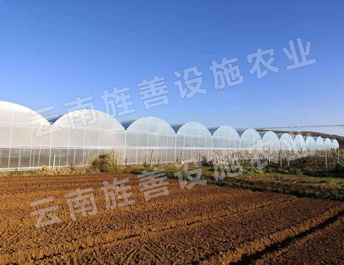 建水育苗大棚