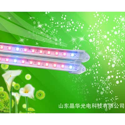 led植物生長燈