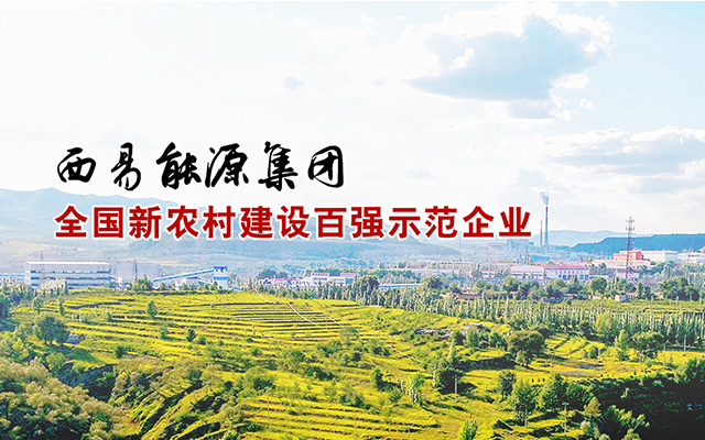 西易能源集团