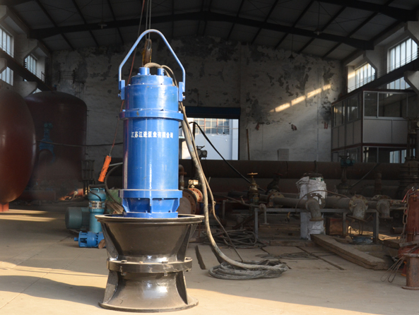 潛水軸流泵/Submersible axial flow pump 潛水軸流泵/Submersible axial flow pump