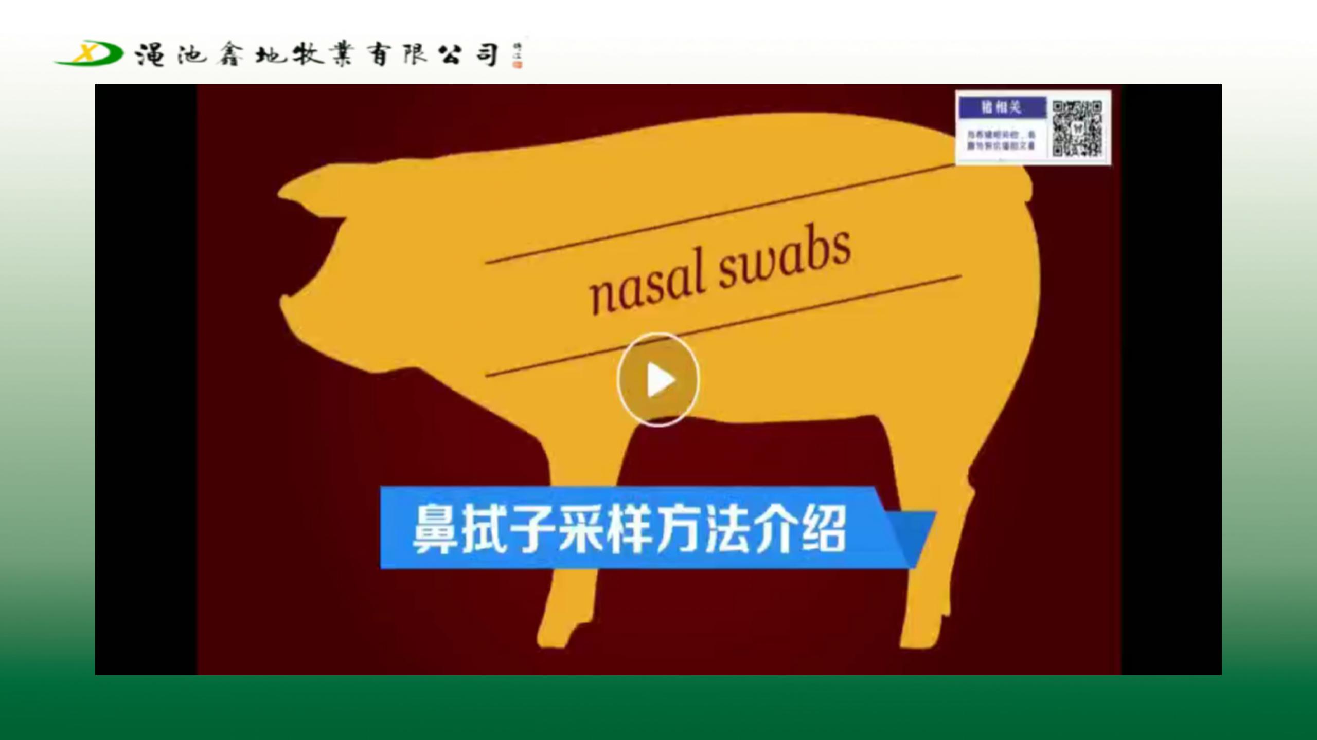 采樣檢測製度及方案（第一版）