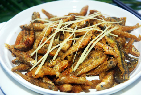 山坑魚(yú)