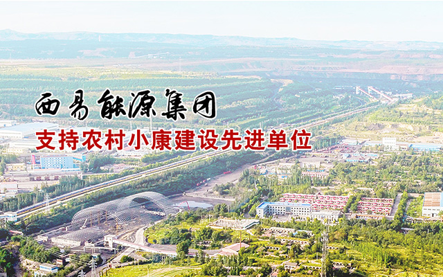 西易能源集团