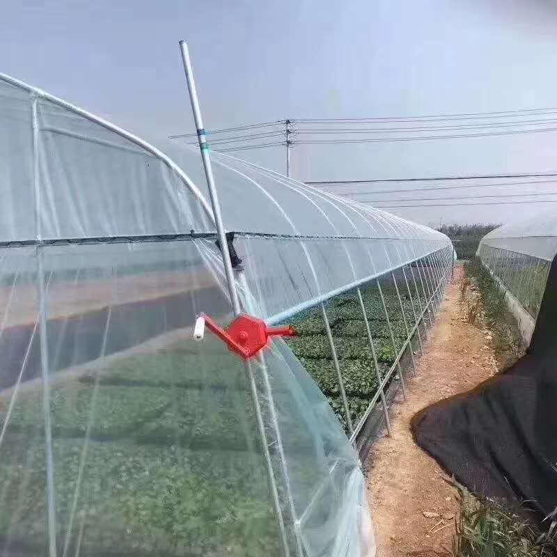插地棚.普通尖頂型外觀