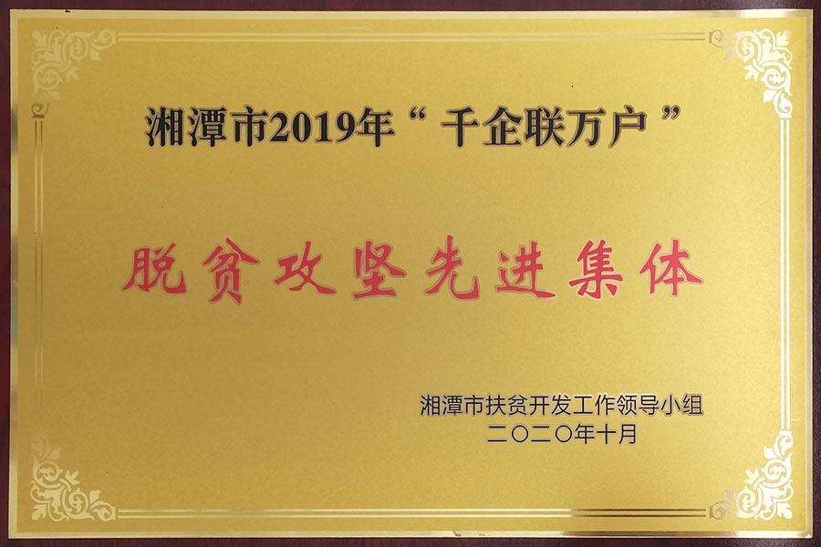 脫貧攻堅先進集體