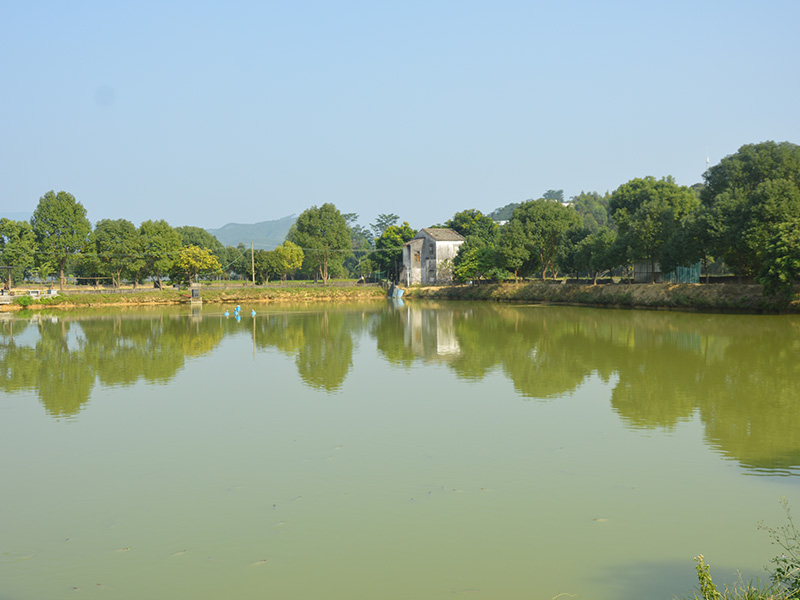 養殖基地