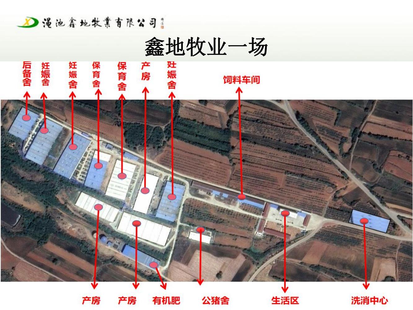 一場生物安全防疫防控方案（第七版）