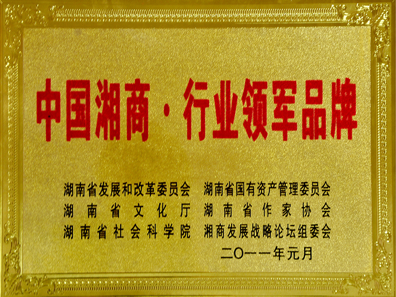 中國湖南行業領軍品牌