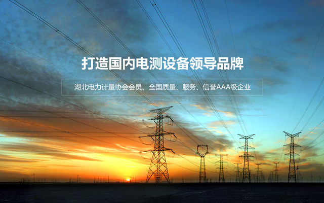 武汉南星电力科技有限公司