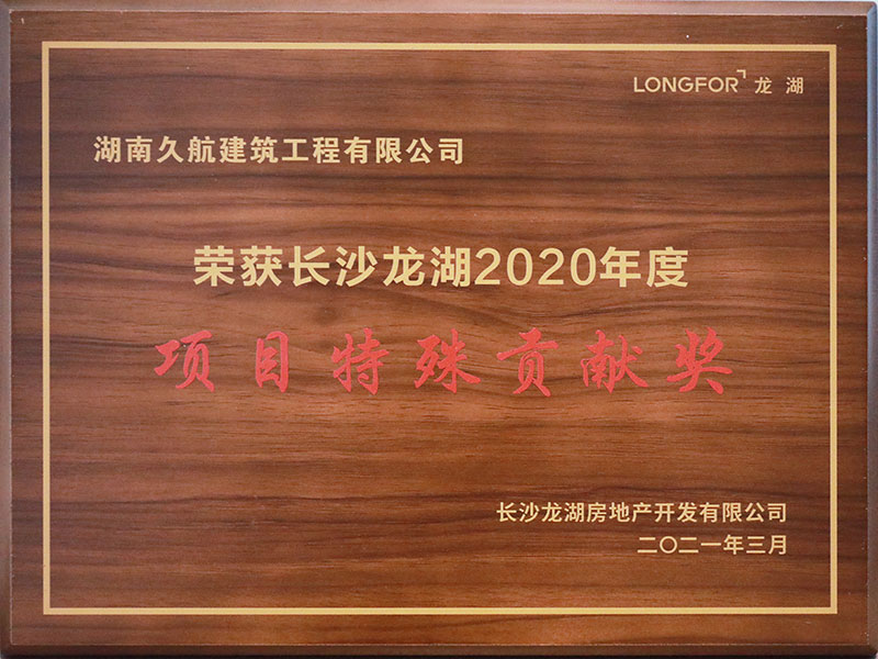 長沙龍湖2020年度項目特殊貢獻獎