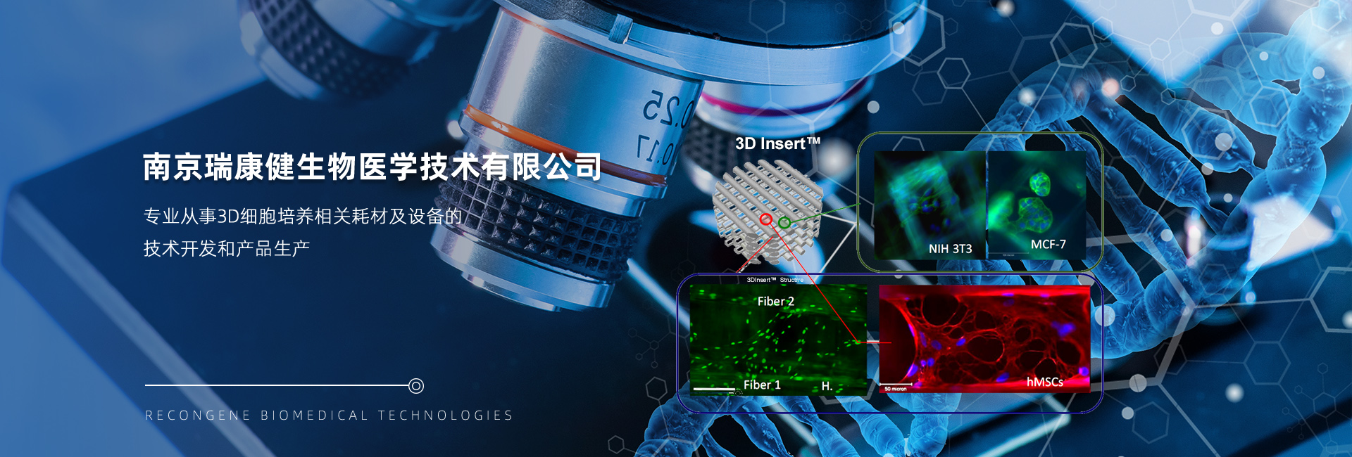 3D干細胞培養,三維培養,三維支架,3D共培養,3D培養箱,體外腫瘤模型