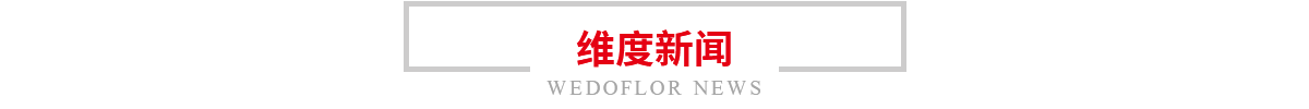 維度新聞 維度新聞