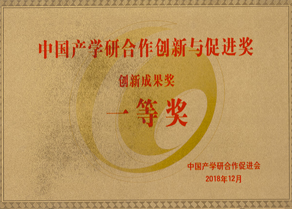 創(chuàng)新成果獎(jiǎng)（一等獎(jiǎng)）