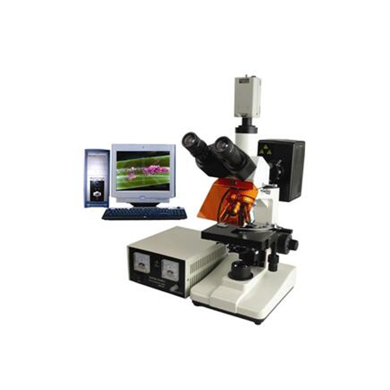 改性瀝青專用熒光檢測顯微鏡BSM-300系列