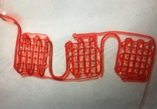 華中科技大學附屬協和醫院  3D類器官方向
